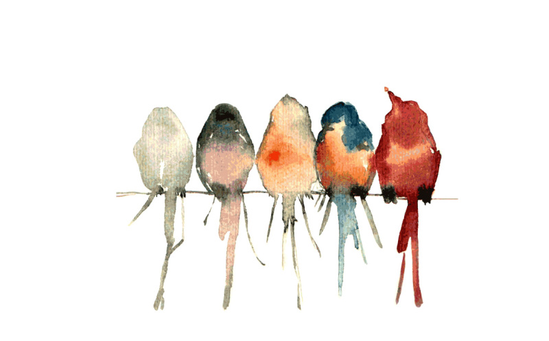 birds-watercolor