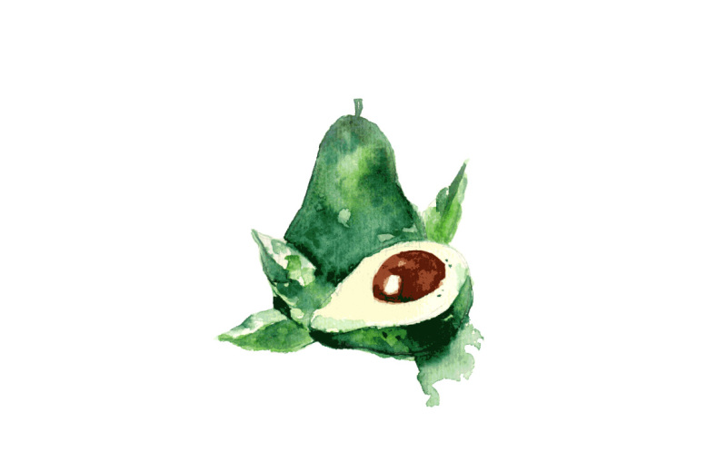 avocado-watercolor