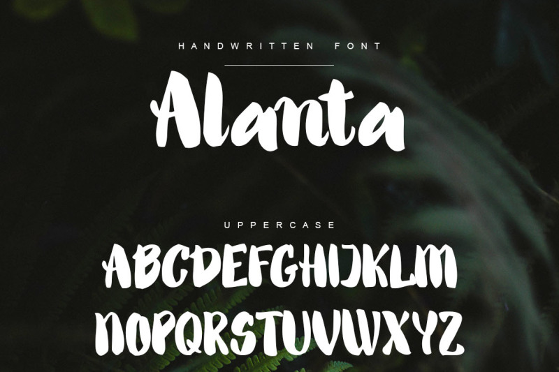 alanta-bold-handwritten-script