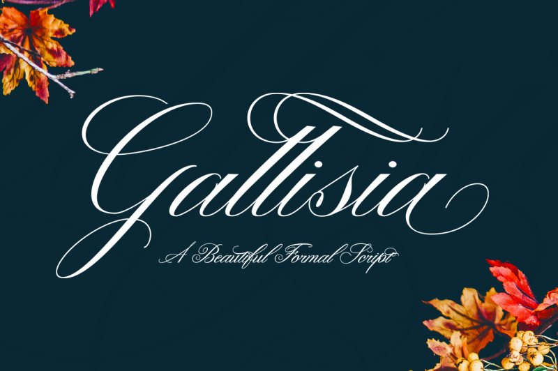 gallisia-script
