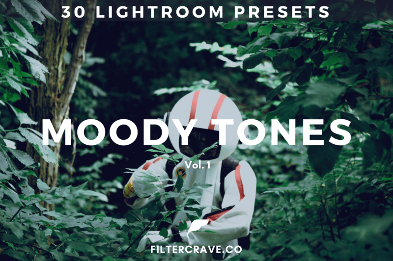 30-moody-lightroom-presets