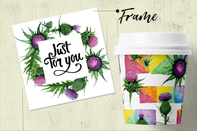thistle-flowers-png-watercolor-set