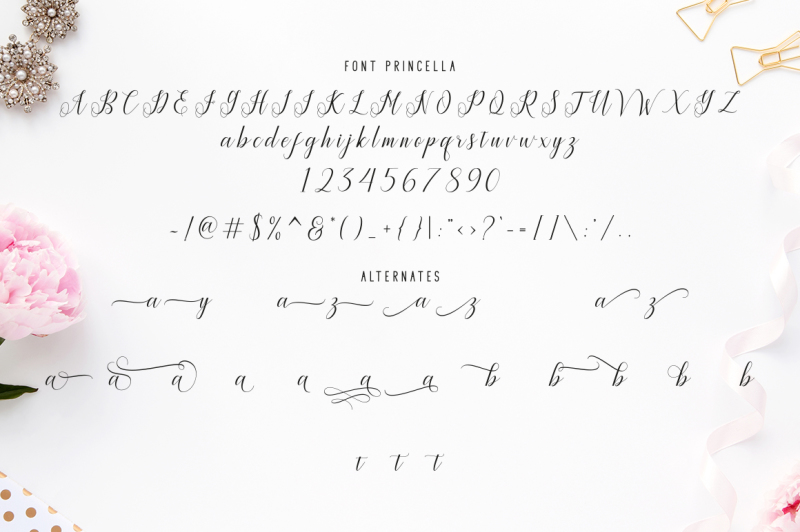 princella-script-6-font