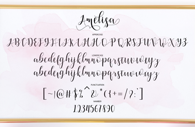 amelisa-script