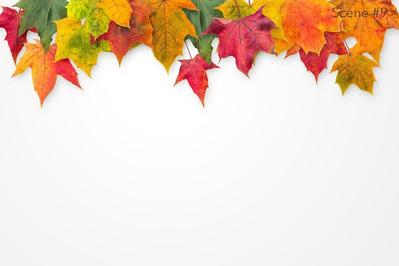 autumn-leaves-creator-kit