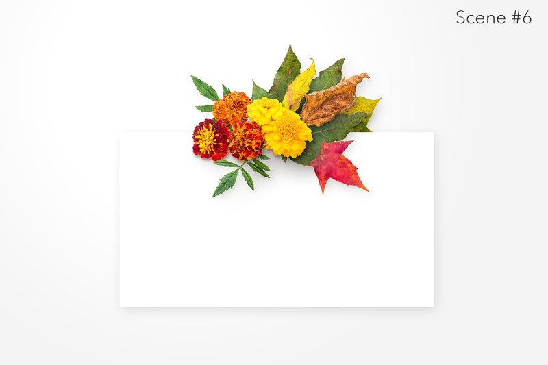 autumn-leaves-creator-kit
