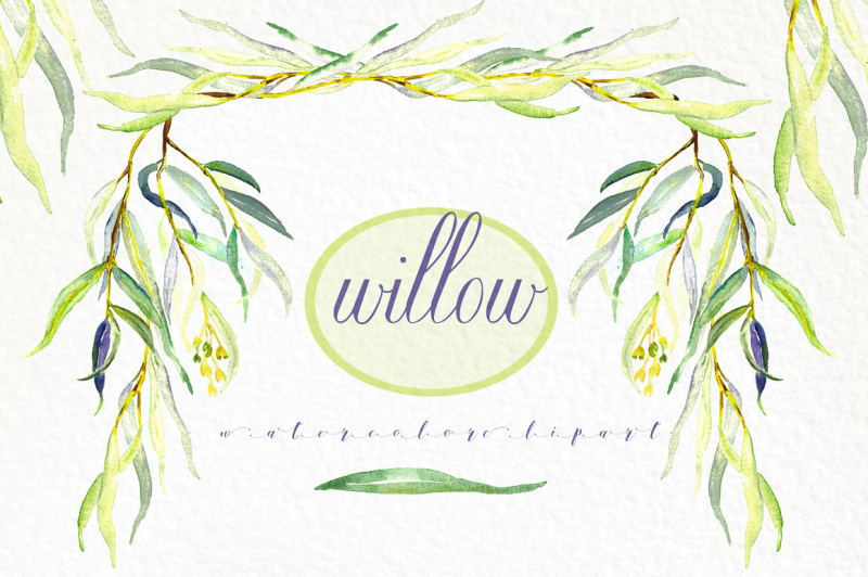willow-branches-watercolor-clipart