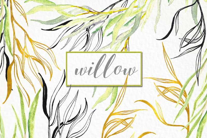 willow-branches-watercolor-clipart