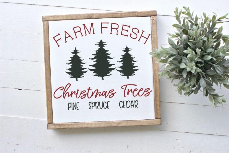 farm-fresh-christmas-trees-svg