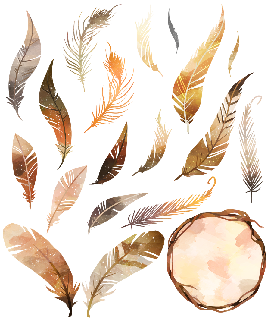 Brown Feathers Clipart By Digitalartsi | TheHungryJPEG