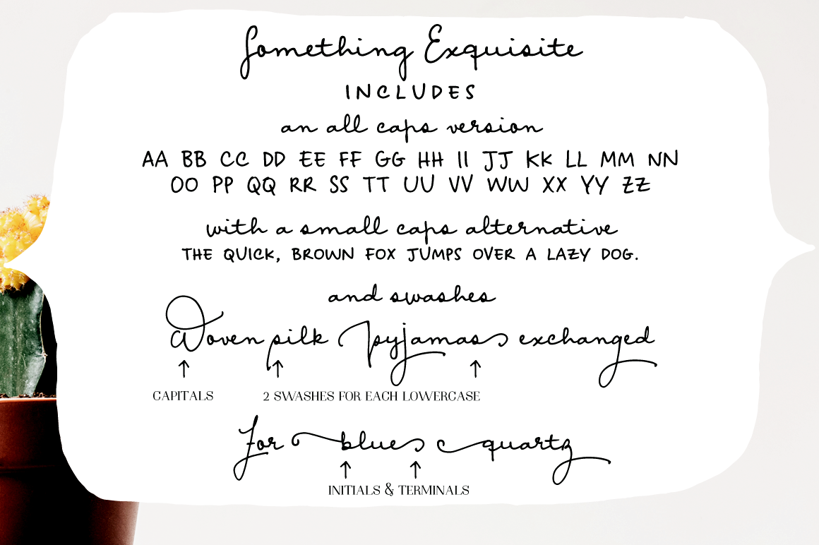 Something Exquisite A Script Font By Ana S Fonts Thehungryjpeg Com