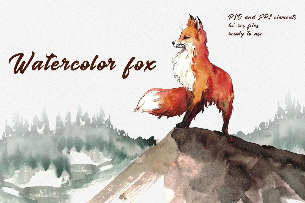Watercolor Fox By Kiraartshop Thehungryjpeg Com