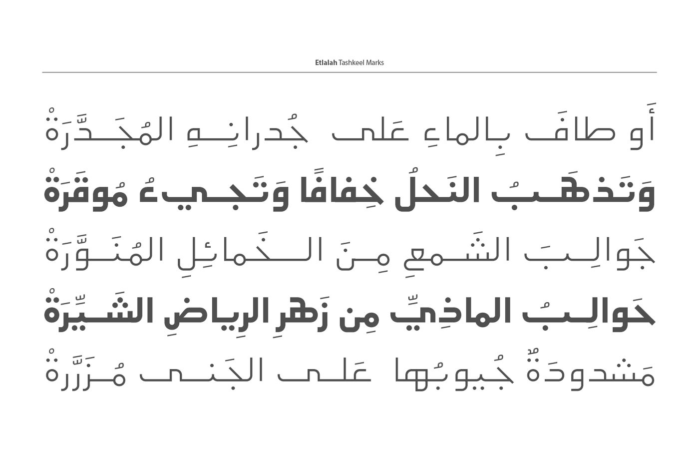 Etlalah Arabic Typeface By Arabic Font Store Thehungryjpeg Com