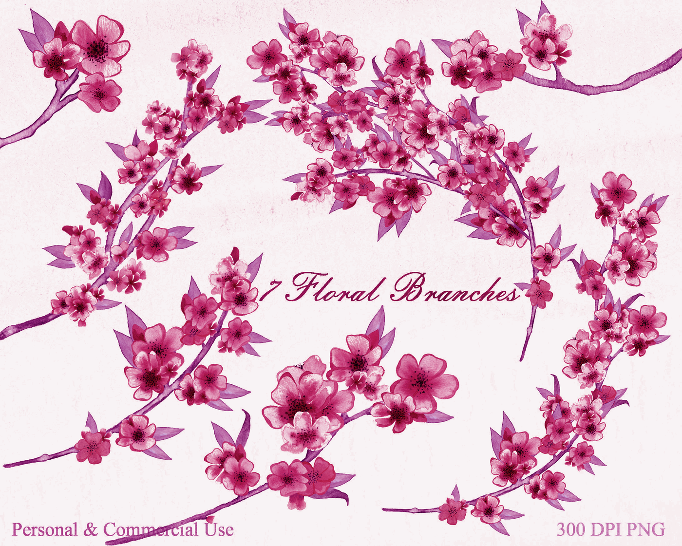 Burgundy Watercolor Sakura Branches Floral Clipart Set Cherry Blossom Graphics By Clipartbrat Thehungryjpeg Com