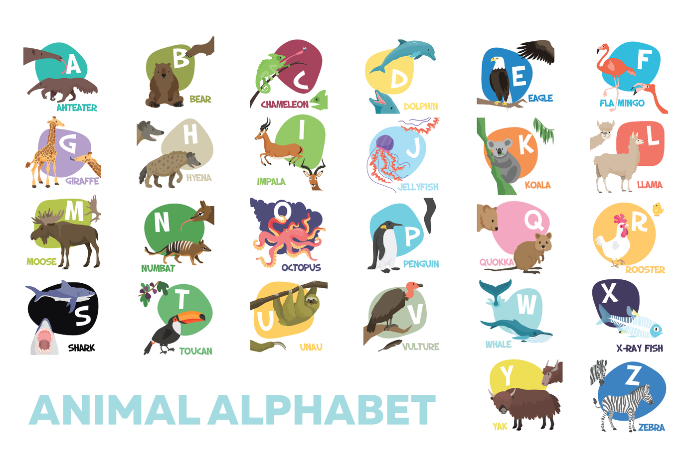Cute color animal alphabet illustrations for kids. 26 letters vector By ...
