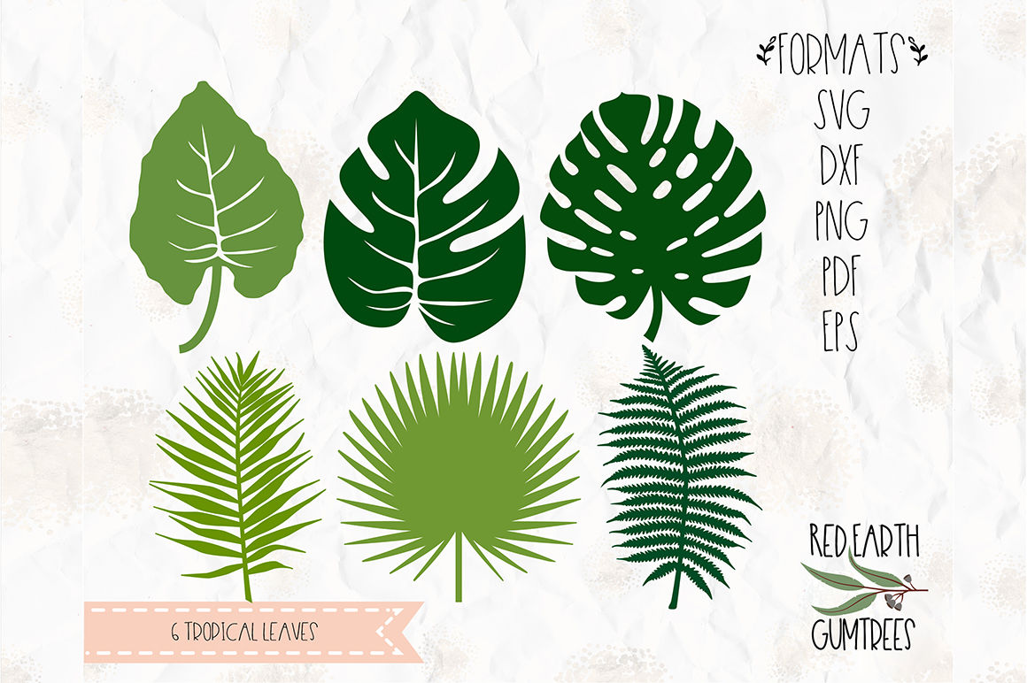 Tropical Plant Leaves Summer Svg Png Eps Dxf Pdf For Cricut Cameo By Svgbrewerydesigns Thehungryjpeg Com