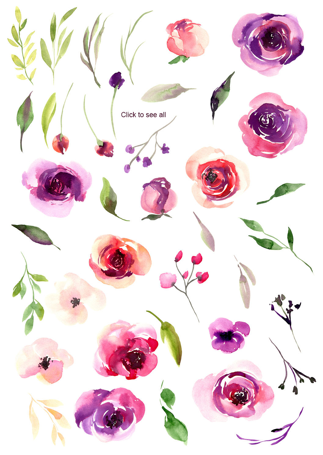 Watercolor Red Violet Flowers Roses Peony PNG By WatercolorFlowers ...