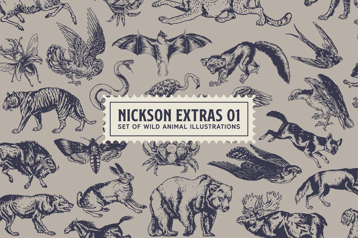 S S Nickson Font Bundles By Spencer Sons Co Thehungryjpeg Com