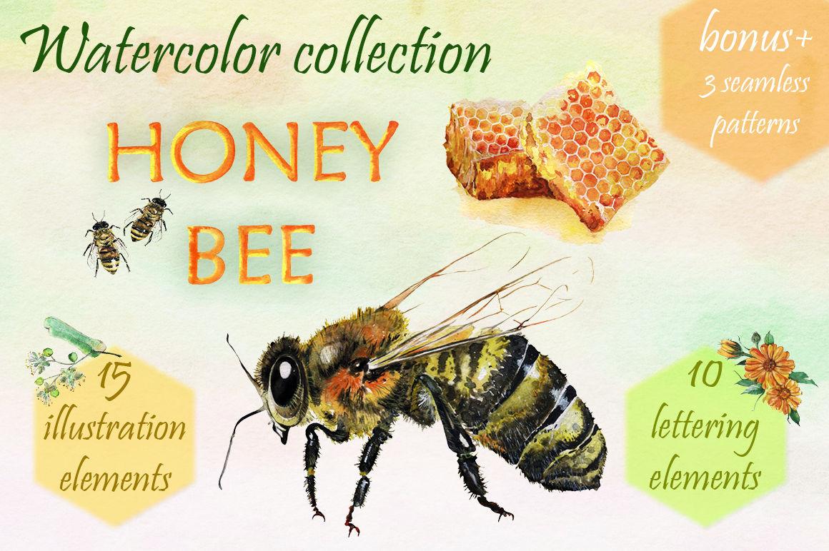 Download Honey Bee. Watercolor set. By Tiana Art | TheHungryJPEG.com
