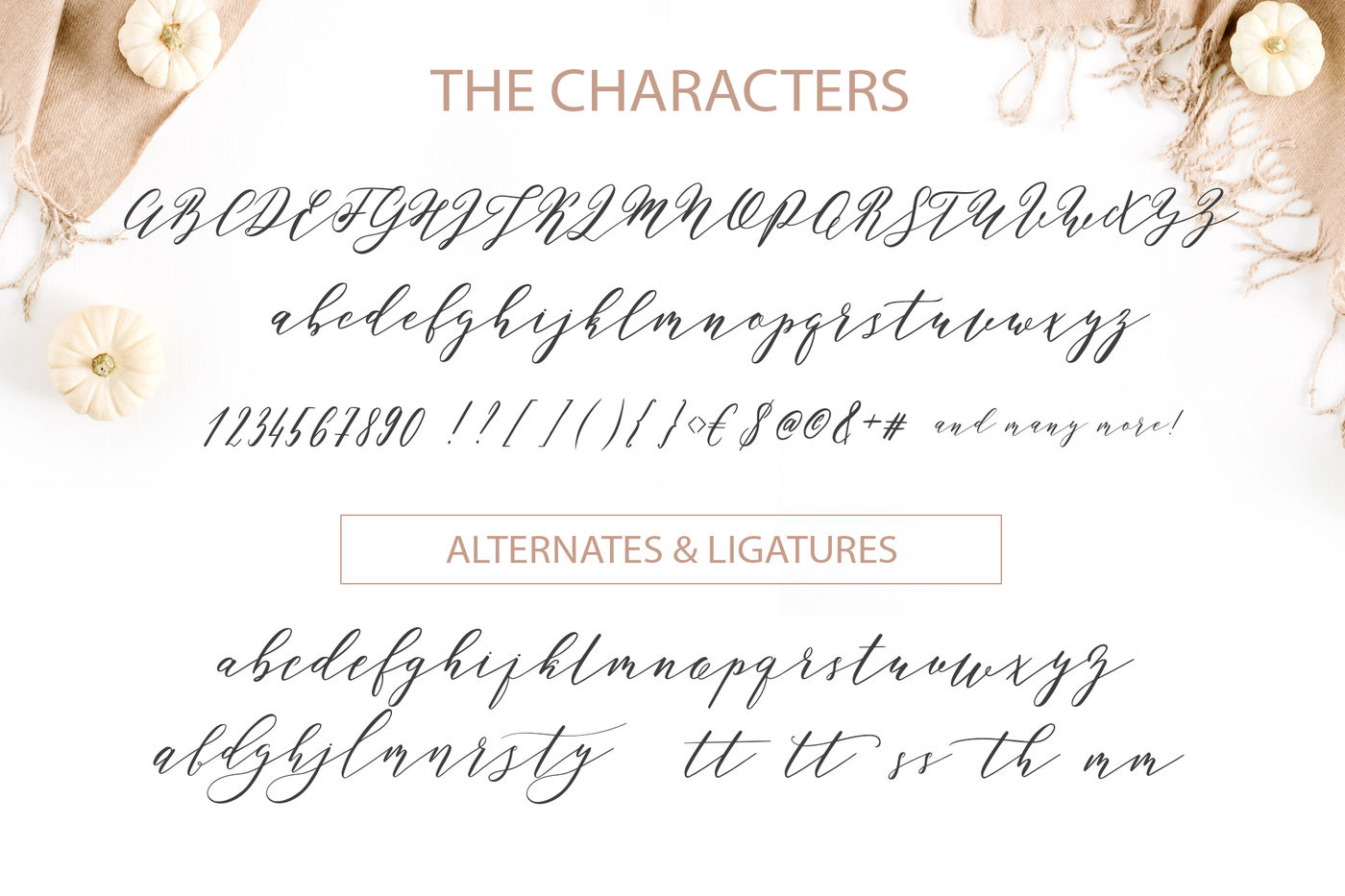 Perfect Charm - Elegant Calligraphy Font By switzershop | TheHungryJPEG.com