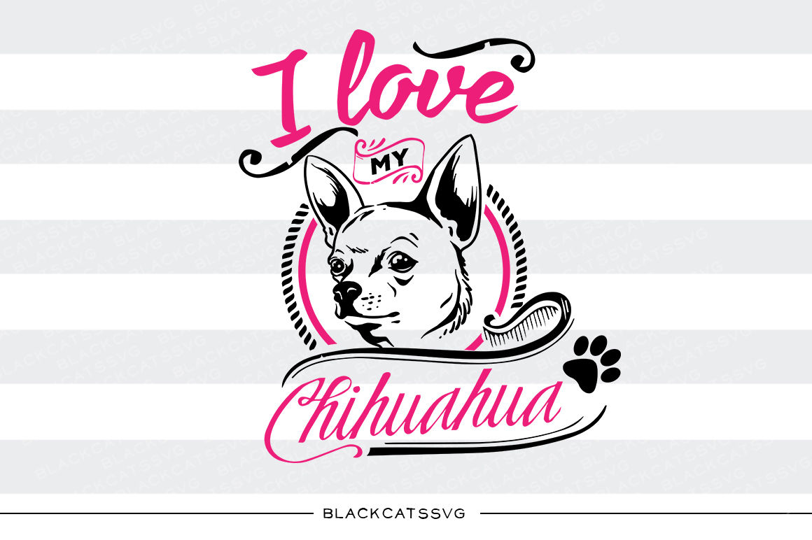 Download I love my Chihuahua - SVG By BlackCatsSVG | TheHungryJPEG.com