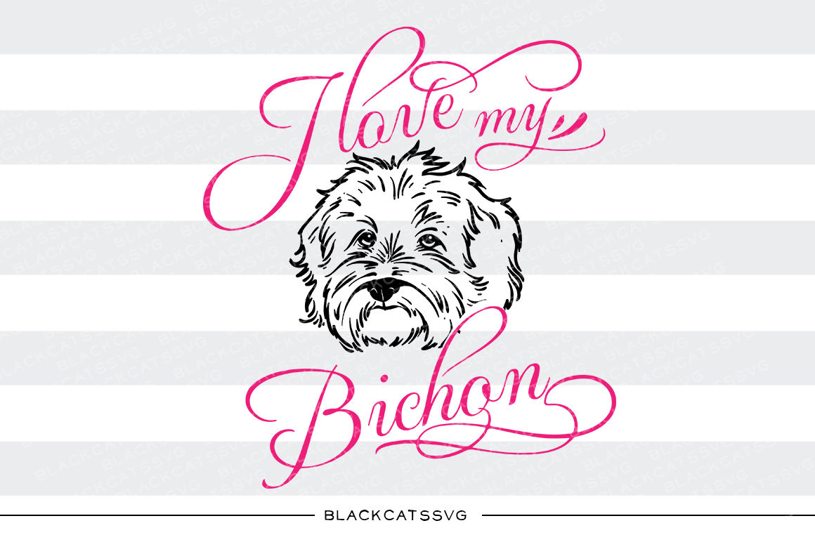 Download I love my Bichon - SVG By BlackCatsSVG | TheHungryJPEG.com