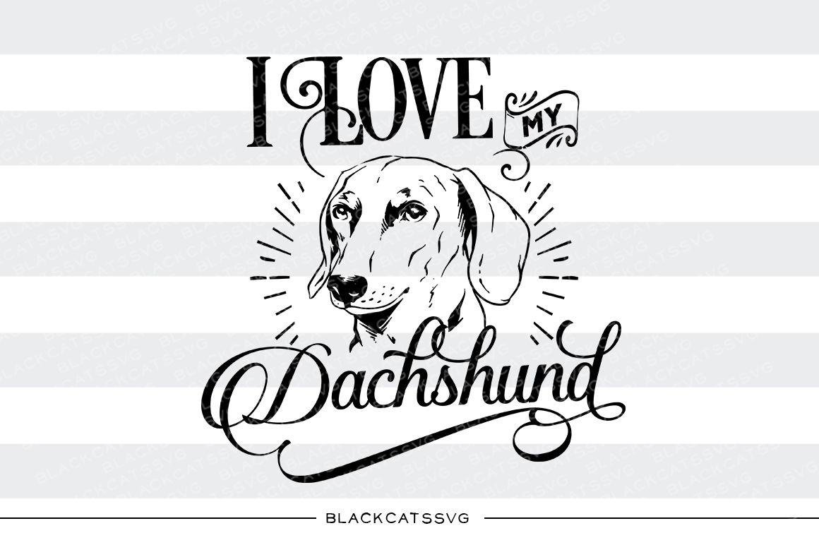 I love my Dachshund - SVG By BlackCatsSVG | TheHungryJPEG