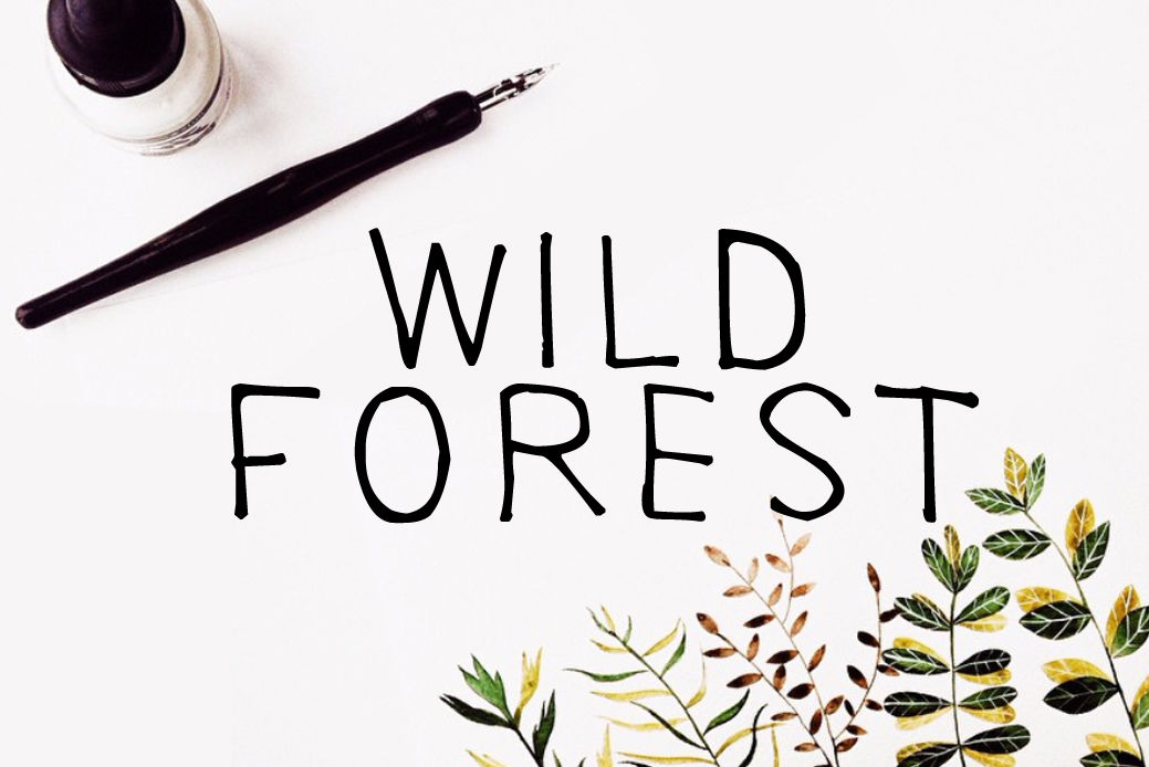 Wild Forest Calligraphy Font Download Modern Digital Typeface By Font Studio Thehungryjpeg Com
