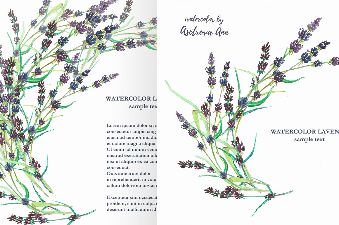 Watercolor lavender By Astro Ann | TheHungryJPEG
