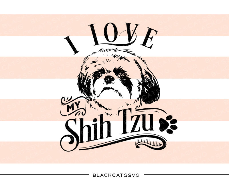 Download I love my Shih Tzu - SVG file By BlackCatsSVG | TheHungryJPEG.com