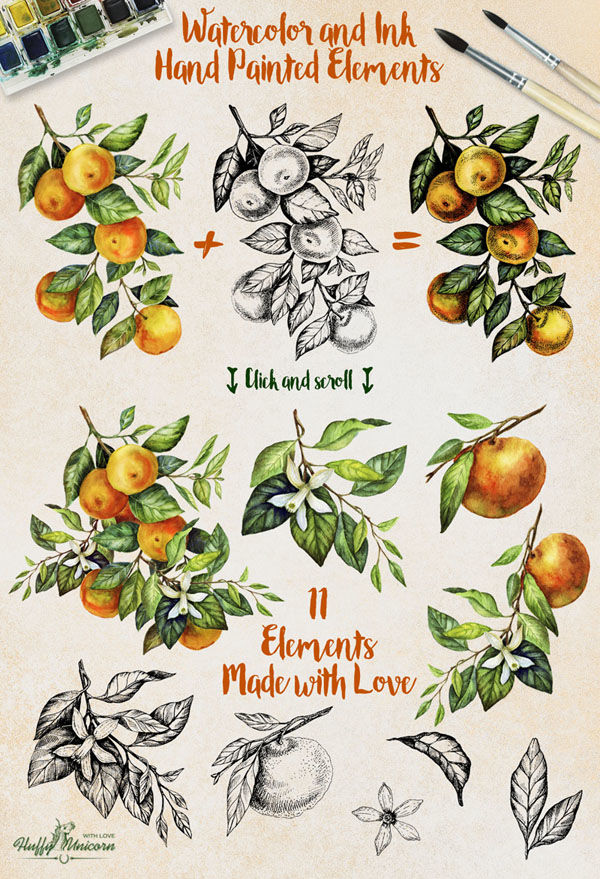 Mandarin Branch Watercolor&Ink By Fluffy Unicorn | TheHungryJPEG