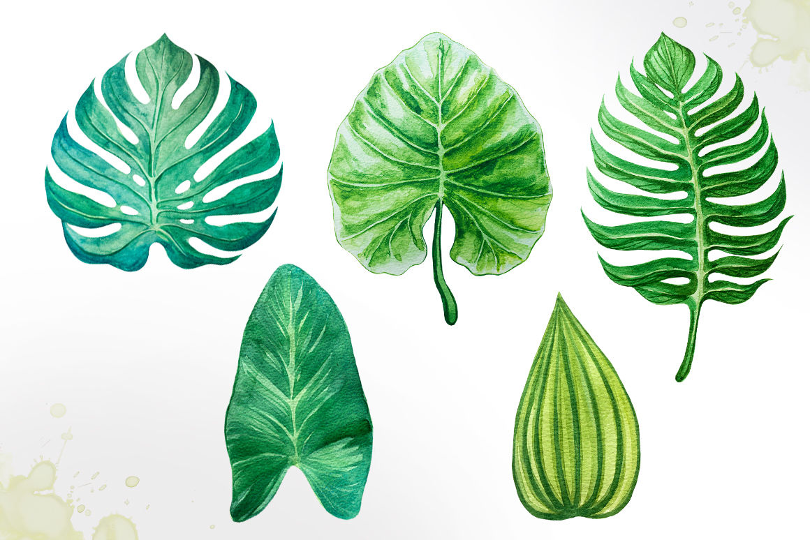 Download Tropical leaves. Watercolor vector. By Alex Green | TheHungryJPEG.com