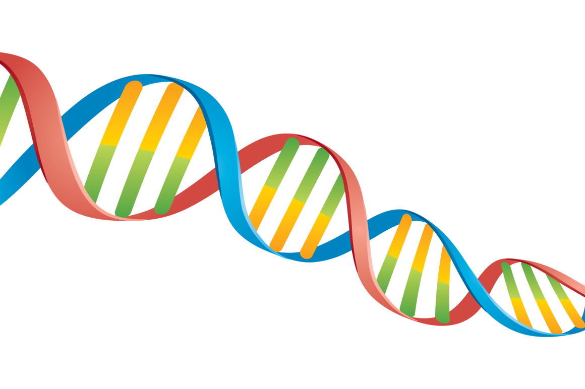 double-helix-dna-strand-by-fizzgig-thehungryjpeg