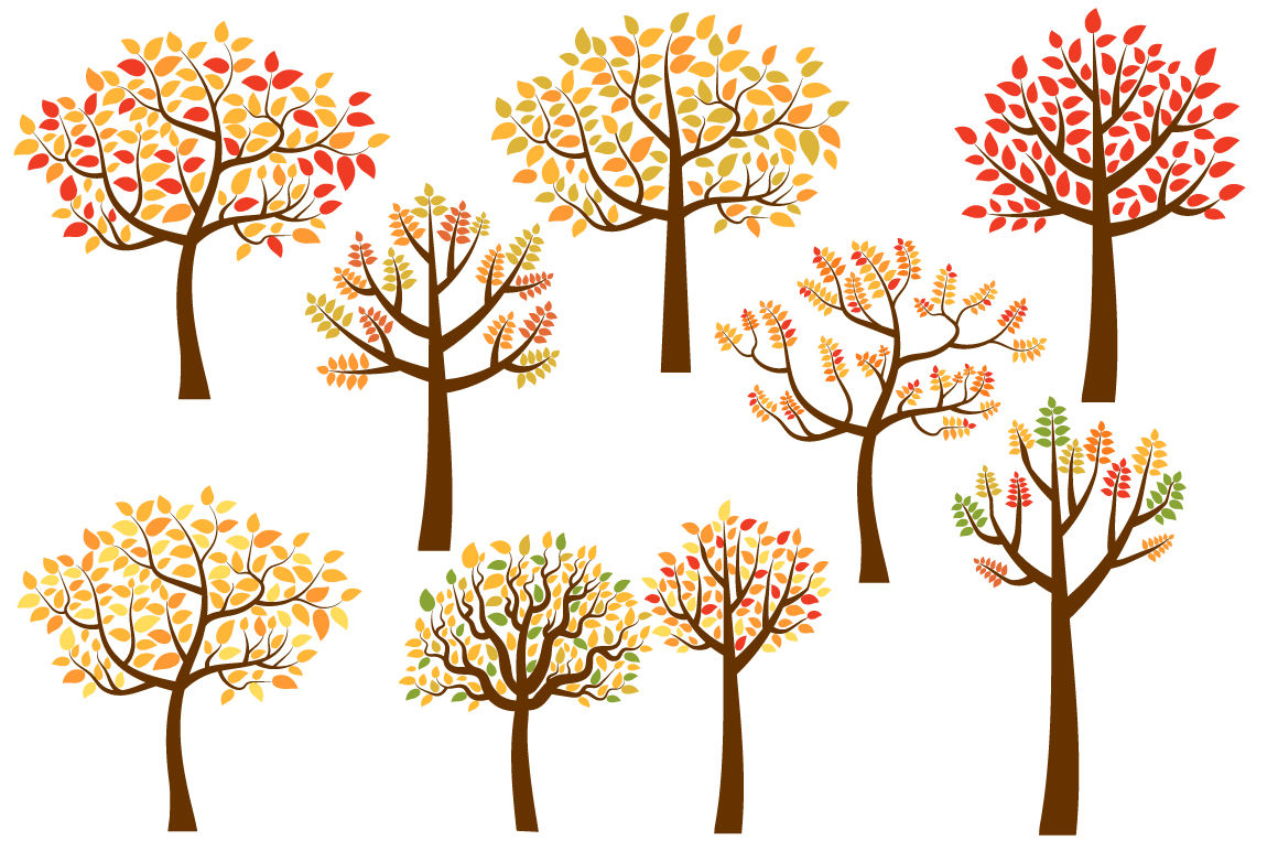 Autumn Tree Outline Drawing Images, Pictures