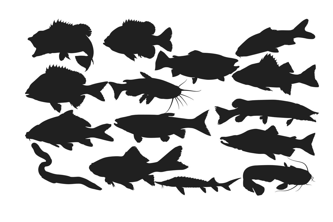 Download Fresh water Fish Silhouette AI EPS DXF SVG PNG By RWD ...