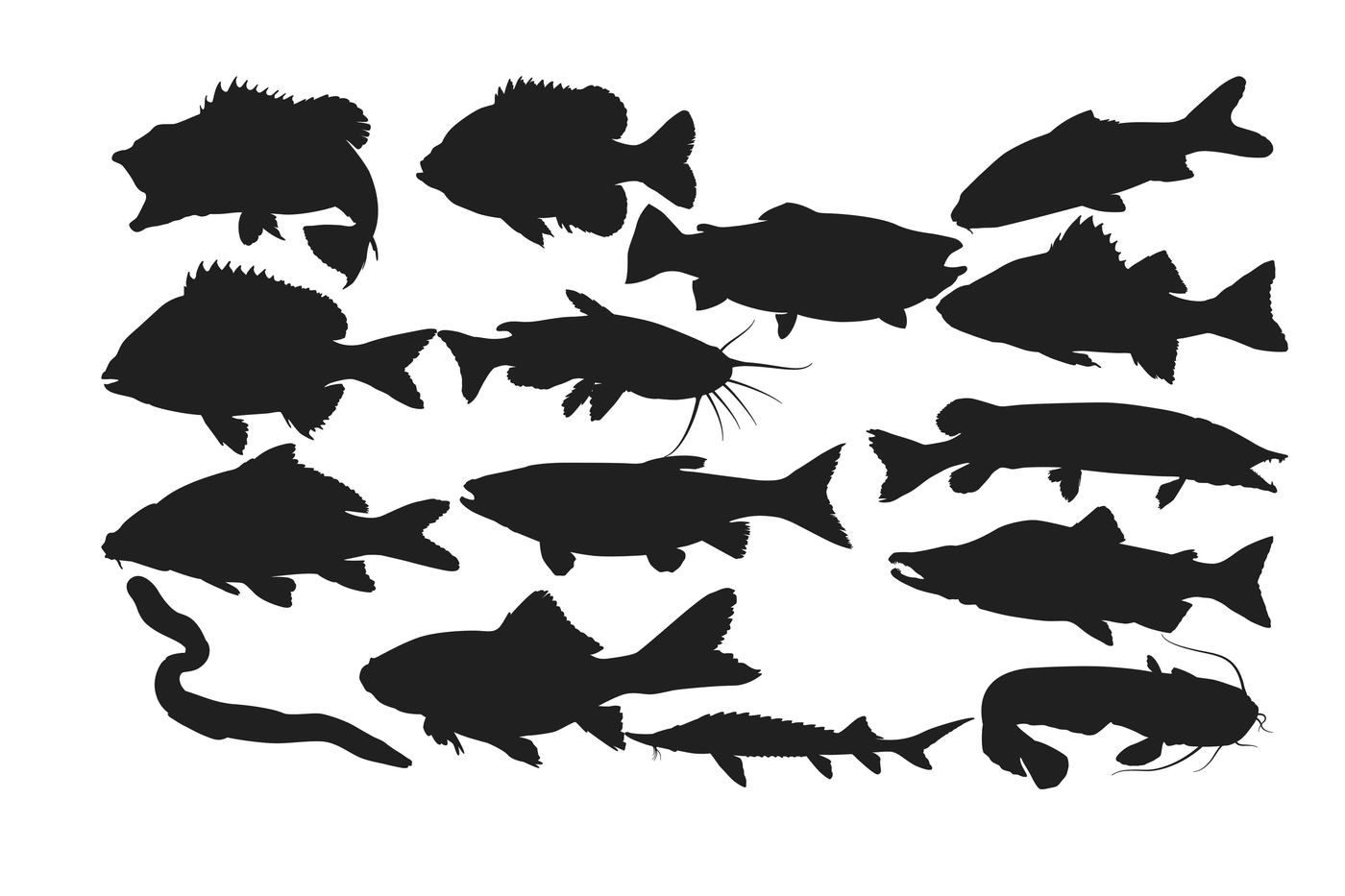 Fresh water Fish Silhouette AI EPS DXF SVG PNG By RWD ...