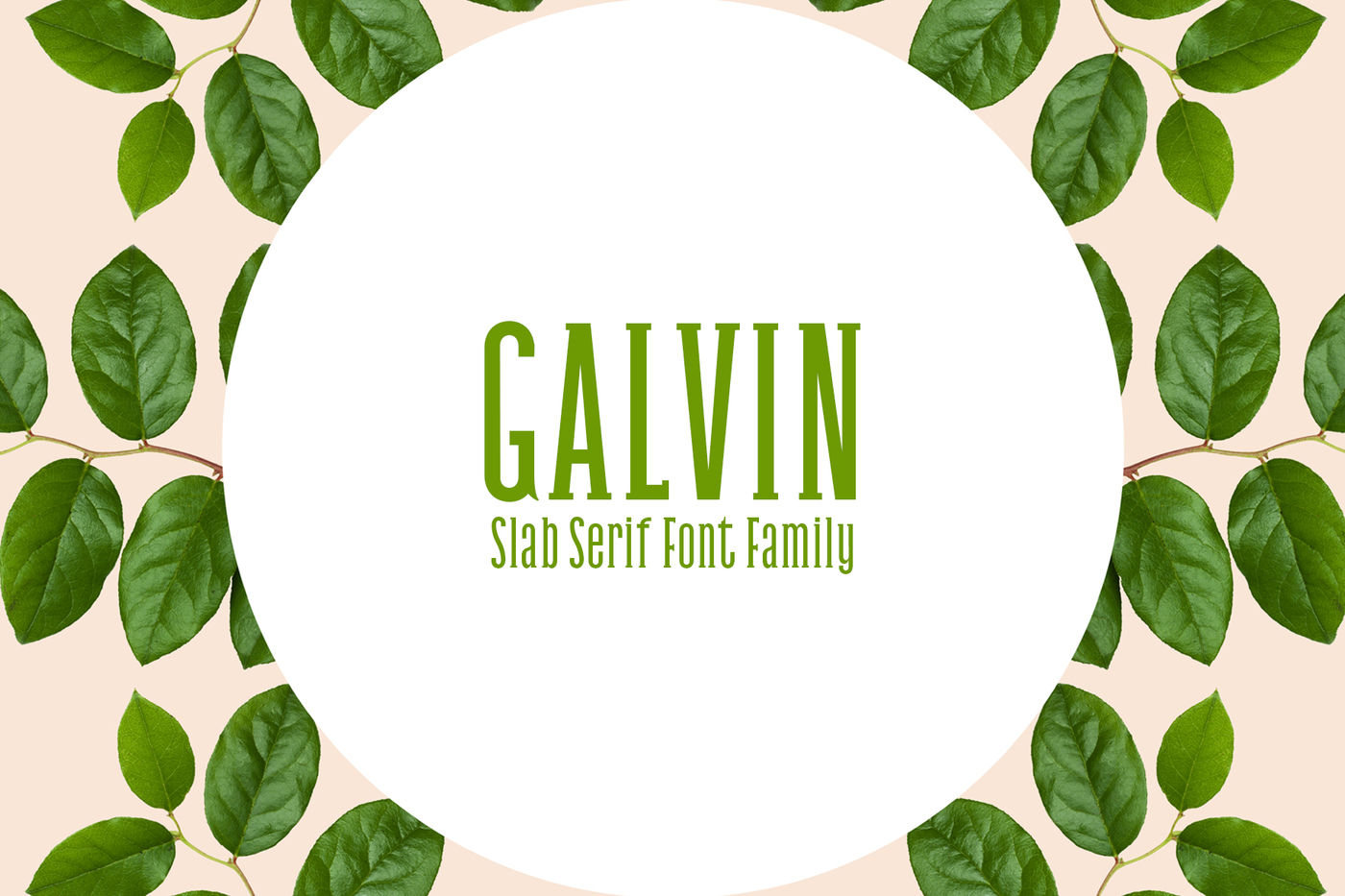 Galvin Slab Serif Font Family Pack By Creativewhoa Thehungryjpeg Com