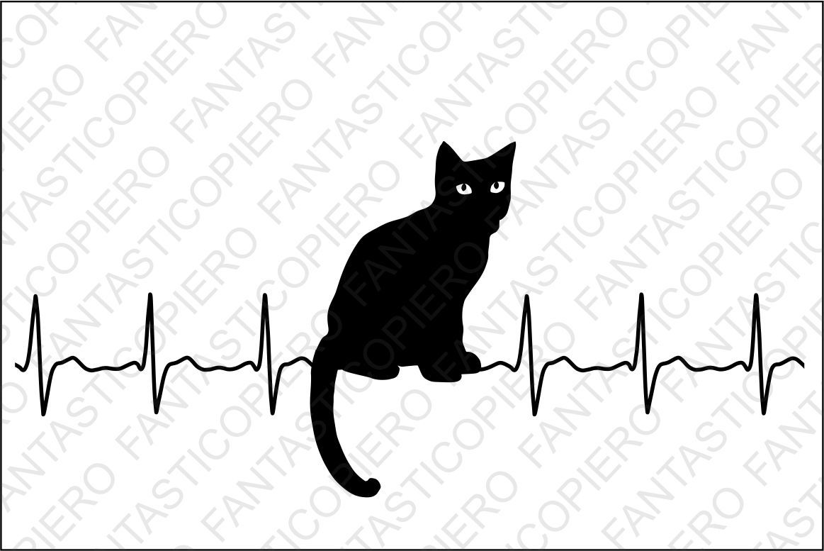 Cardio Cat Svg Files For Silhouette Cameo And Cricut By Fantasticopiero Thehungryjpeg Com