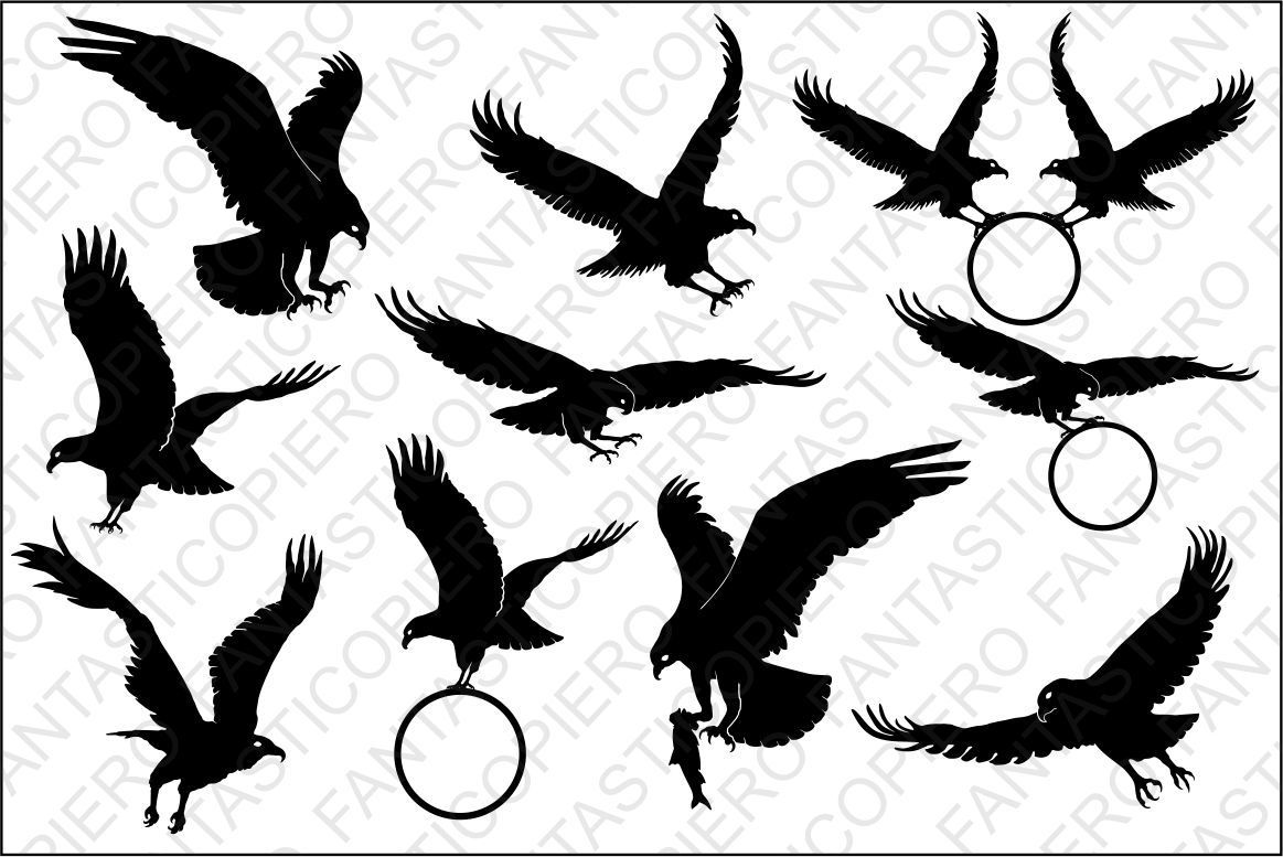 Bald Eagle Svg Files For Silhouette Cameo And Cricut By Fantasticopiero Thehungryjpeg Com