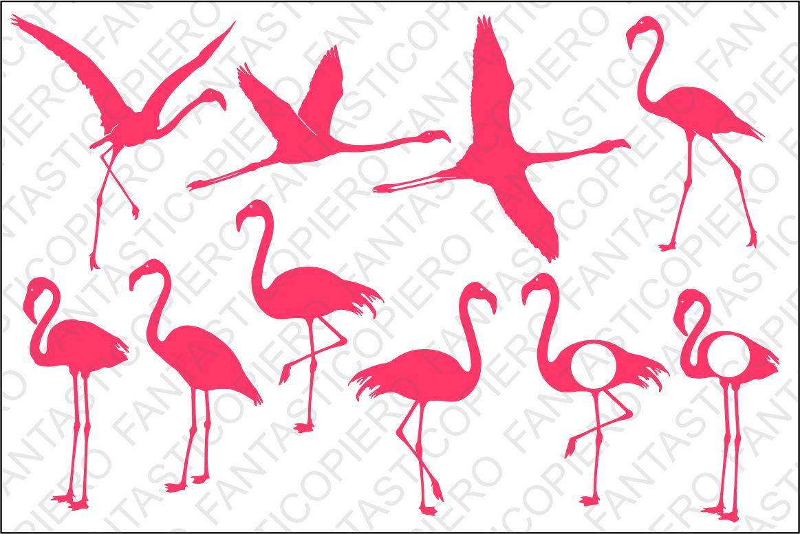 Flamingo Svg Files For Silhouette Cameo And Cricut By Fantasticopiero Thehungryjpeg Com