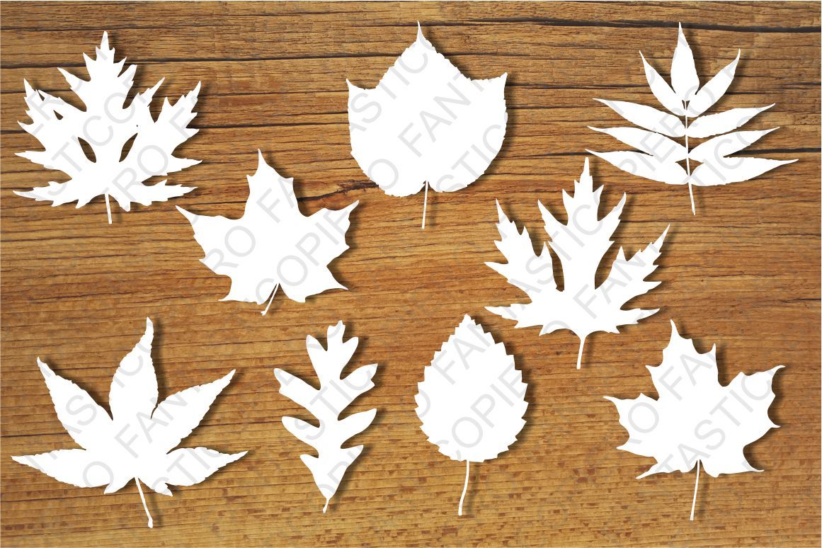 Download Leaves Svg Files For Silhouette Cameo And Cricut By Pierographicsdesign Thehungryjpeg Com