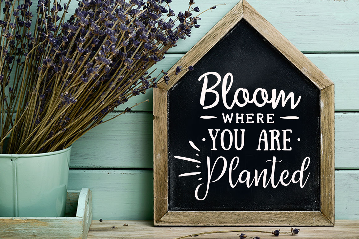 Bloom where you are planted SVG By BlackCatsSVG | TheHungryJPEG