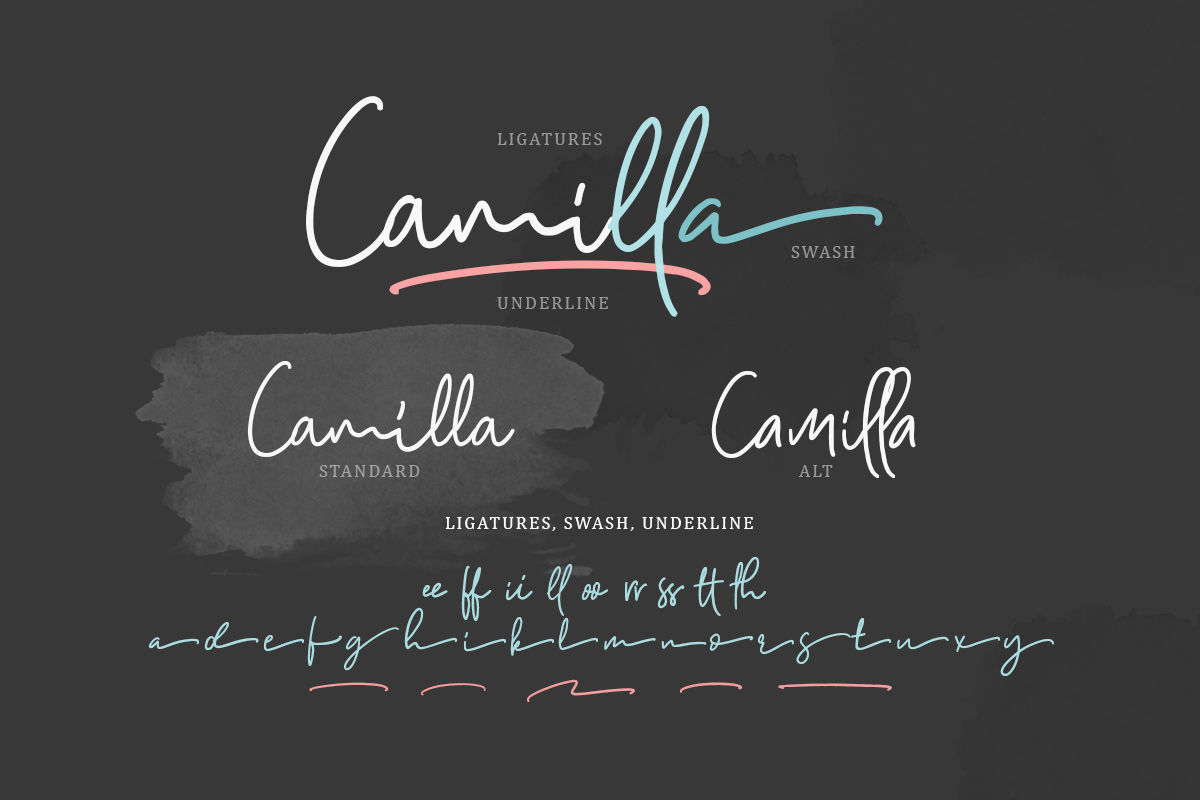 Camilla Signature Script 6 Fonts By Saridezra Thehungryjpeg Com