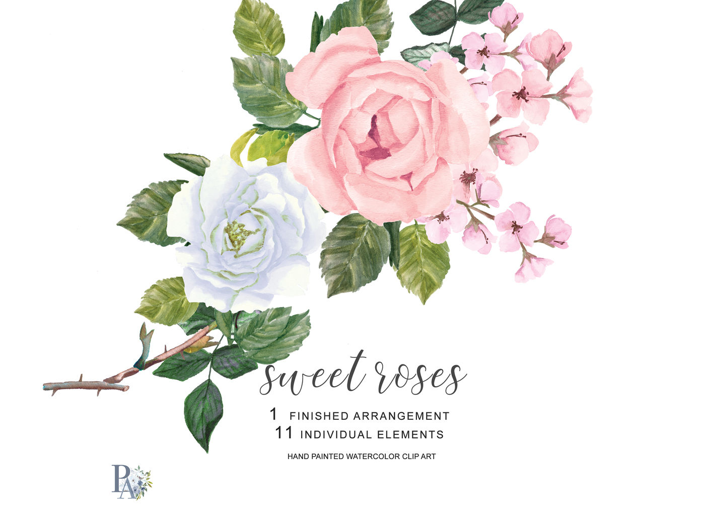 Watercolor Blush Pink and White Roses Clipart By Patishop Art ...