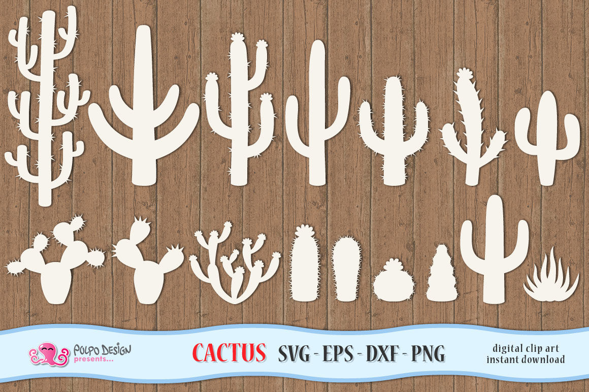 Download Cactus SVG By Polpo Design | TheHungryJPEG.com