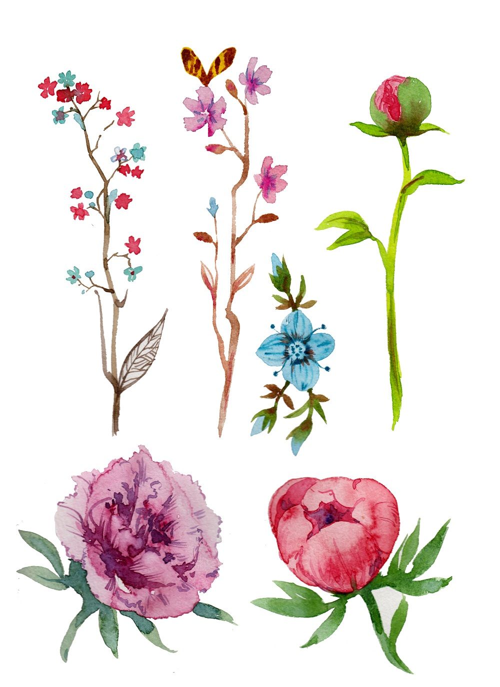 Watercolor painted flowers pack By Ametist | TheHungryJPEG
