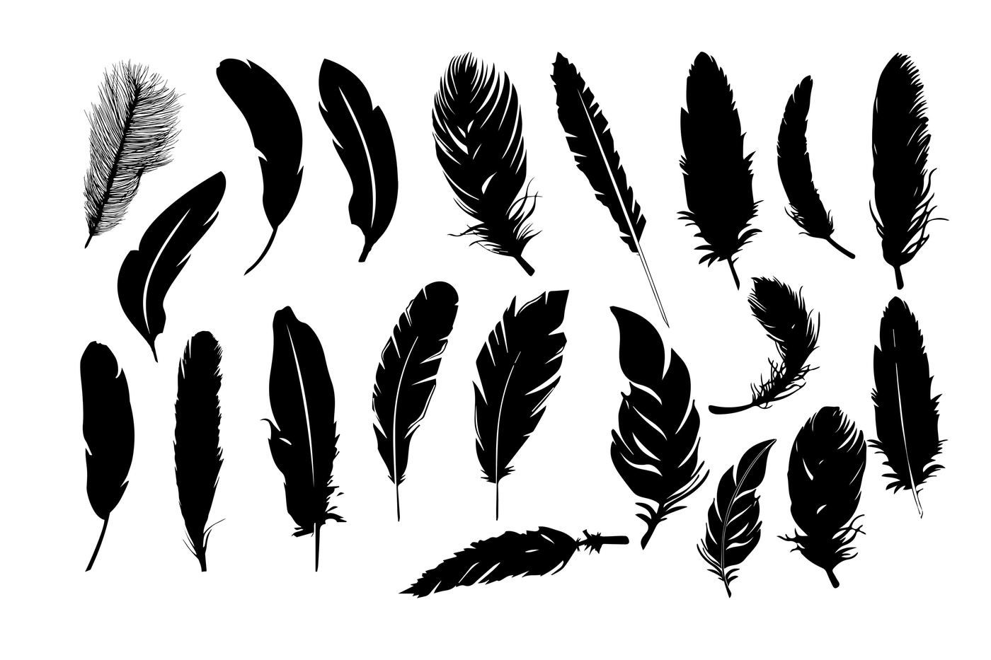 Download Feather Silhouettes SVG DXF EPS PNG AI By RWD ...
