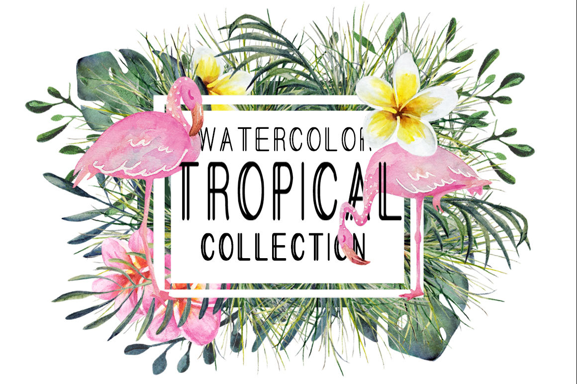 Watercolor Tropical Set With Flamingo By D R O M P Thehungryjpeg Com