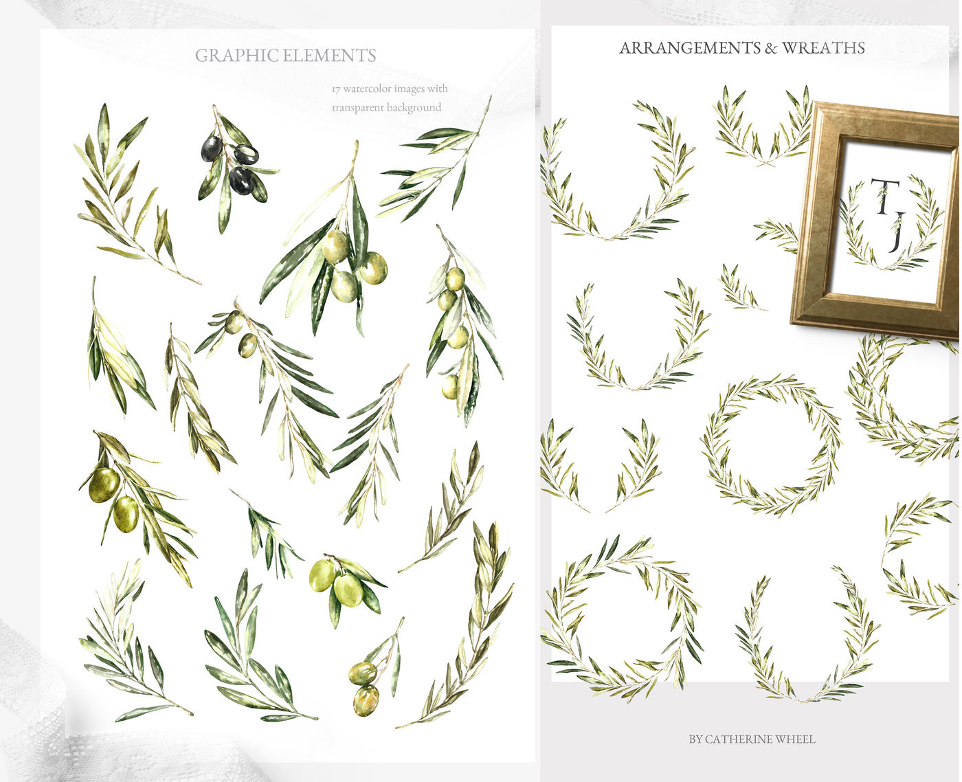 Grace Glory Botanical Alphabet Olive By Catherine Wheel Thehungryjpeg Com
