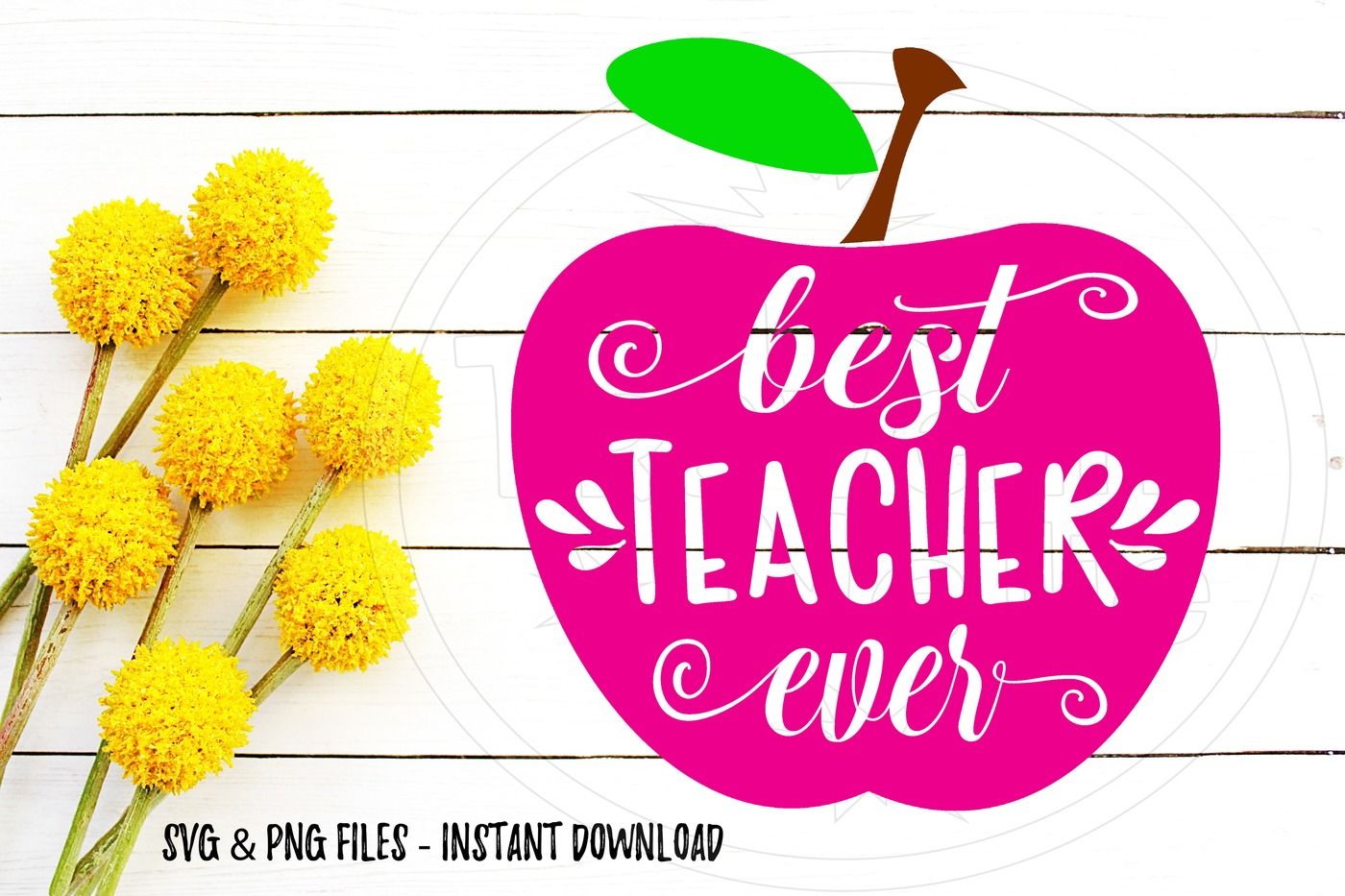 Best Teacher Ever Apple Svg Print Cut Image Files Cameo Cricut By Travelin Nellie Thehungryjpeg Com